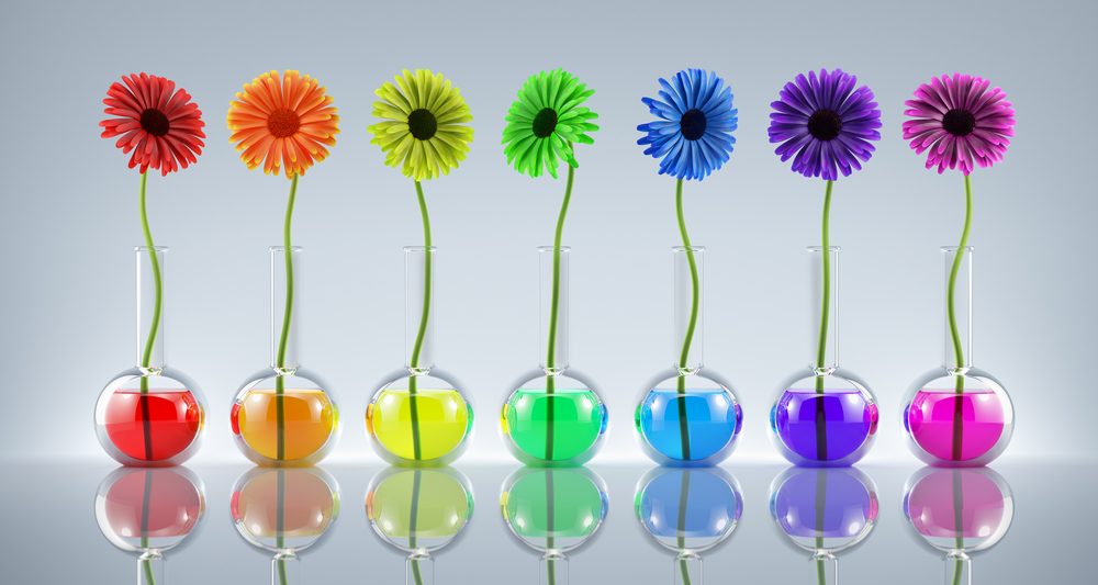 neon flowers lined up