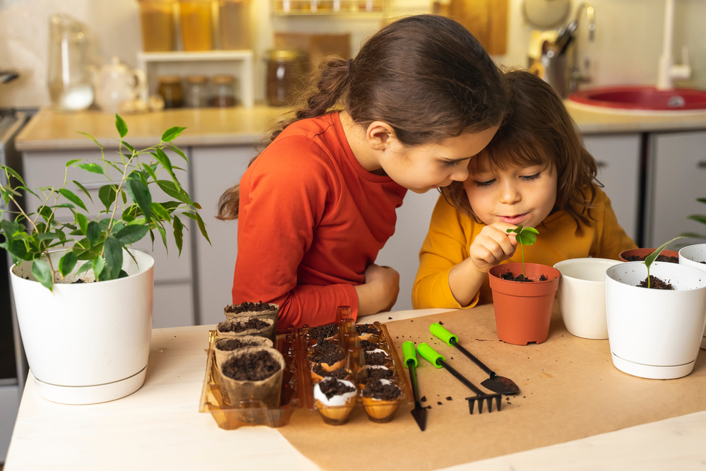 Using Air Purifiers in the Classroom 